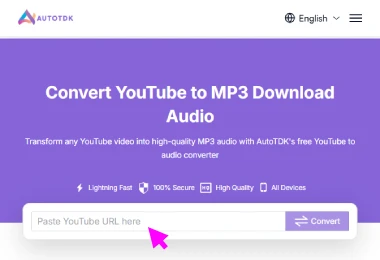 Step 2 - Paste URL or upload file